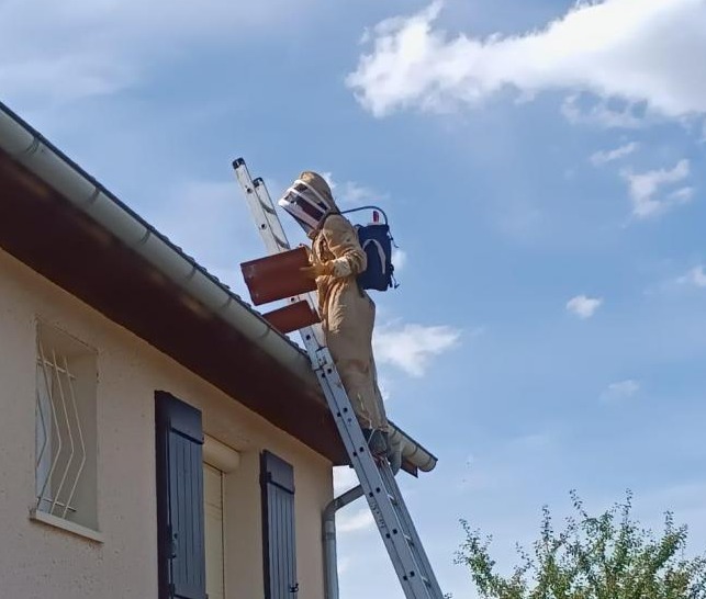 Exterminateur de rats Rumilly